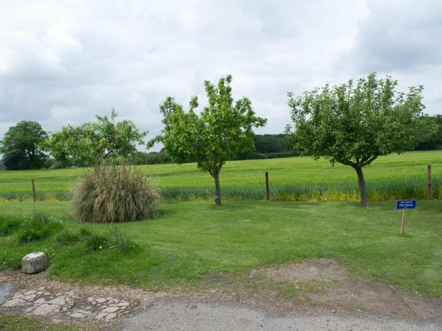 Woodview B Colchester Birch Exteriér fotografie